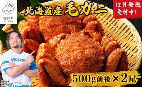 【2026年12月発送】北海道産  ボイル毛蟹 約1kg（500g前後×2尾）蟹 カニ 冷凍 