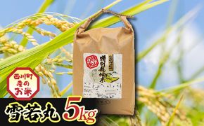 FYN6-553 令和7年度 山形県西川町産 雪若丸 5kg 精米 白米 ブランド米 米 ご飯 ごはん 自宅用 家庭用