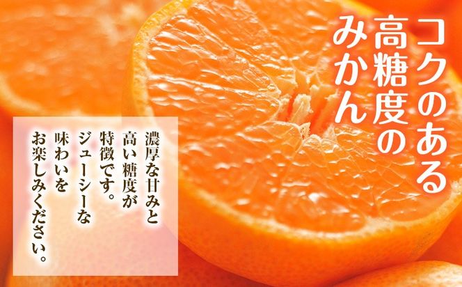 みかん 約5kg (2S-2Lサイズ) 金峰柑橘組合株式会社 ミカン 柑橘 フルーツ 旬 熊本県 玉名郡 玉東町 《10月中旬-1月中旬頃出荷》贈り物 果物 くだもの---sg_kpmkn_q101_24_13000_5kg---