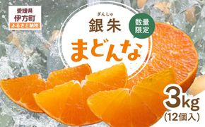 【先行受付】【数量限定】銀朱まどんな（生果）12個入り（3kg)（2026年11月下旬頃より順次発送） IKTQ007