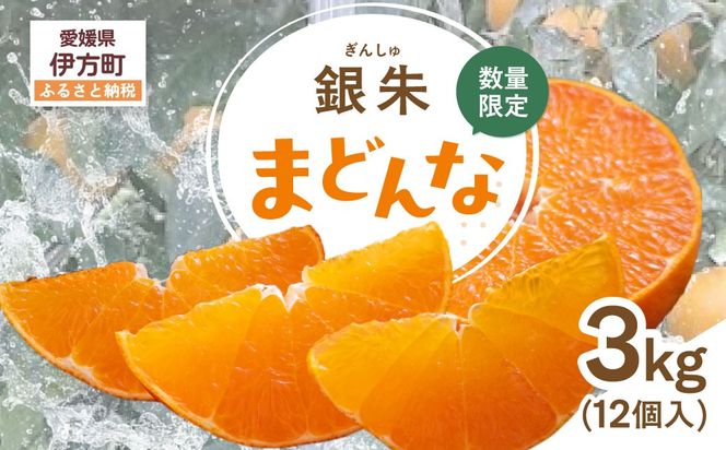 【先行受付】【数量限定】銀朱まどんな（生果）12個入り（3kg)（2026年11月下旬頃より順次発送） IKTQ007