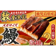 【0164361a】＜数量限定＞＜メガサイズ＞「養鰻業者応援」うなぎ蒲焼き(無頭)(2尾・計約540g・タレ、山椒付) うなぎ 高級 ウナギ 鰻 国産 蒲焼 蒲焼き たれ 鹿児島 ふるさと 人気【アクアおおすみ】