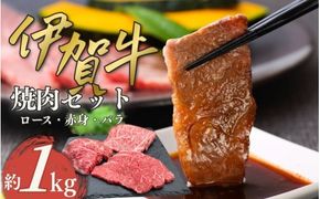伊賀牛 焼肉セット（ロース、赤身、バラ）約1kg【cook0004】