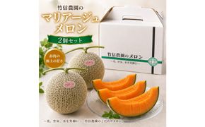 ※先行予約【鳥取県産】マリアージュメロン2玉　※12月上旬頃発送予定 313726_CY025