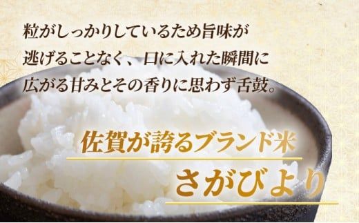 【選べる内容量/配送月】特A評価 令和7年産 さがびより 特A評価 5kg～20kg | 米 白米 令和7年産 佐賀県産 5kg 10kg 15kg 20kg 精米 ブランド米 新米 お取り寄せ ごはん 人気 高評価 九州米 食味ランキング ギフト 家庭用