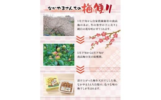 紀州南高梅　うす塩【ハチミツ入】 塩分5%（2kg）なかやまさんちの梅干　うめ　ウメ【nky009-120k】