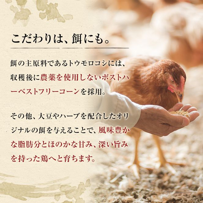 古処鶏水炊きご家庭用セット（小） (3～4人用) 鍋セット 鶏肉水炊き 夕飯 食卓 子供 炙りぶつ切り ムネ モモ つみれ ギフトセット 