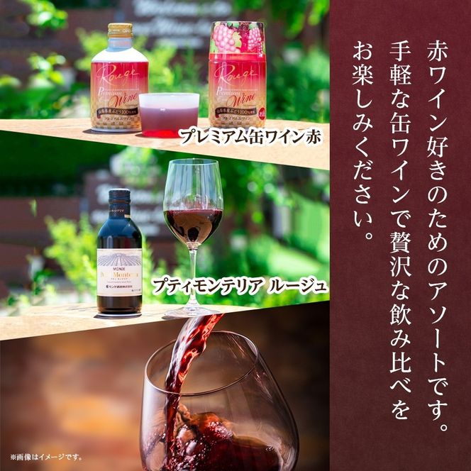 缶ワイン 赤 2種 飲み比べ プレミアム缶ワイン プティモンテリアルージュ 各300ml×6本 計12本 モンデ酒造 缶ワイン赤 酒 お酒 贈答 ギフト 晩酌 宅飲み 家飲み キャンプ BBQ パーティー アウトドア 送料無料 山梨県 笛吹市  177-4-167