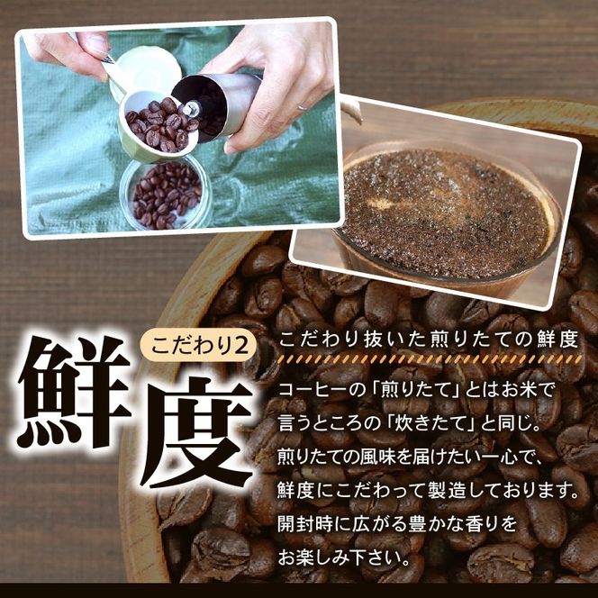 【12ヶ月/定期便】 自家焙煎 コーヒー 豆 100g インドネシア 深煎り [moku3000_1]	