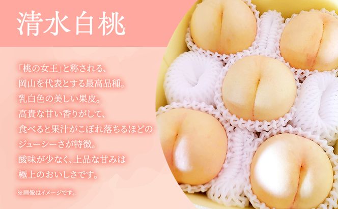 桃 2026年 先行予約 岡山県産 清水白桃 贈答用1.5kg(4～6玉) 朝採れ 農家直送 限定20箱