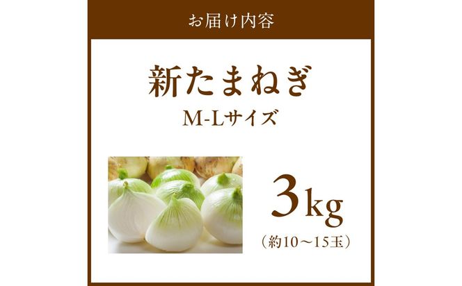 【訳あり】新たまねぎ 3kg JA00093