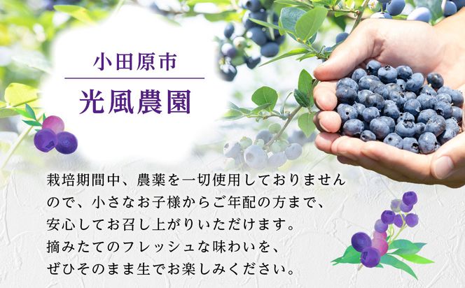 【農薬不使用】 手摘み生ブルーベリー 1kg 142069_JJ002