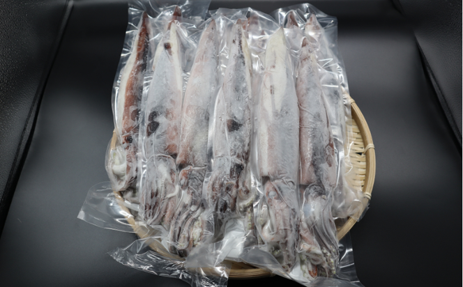 スルメイカ　2杯×6　約2kg