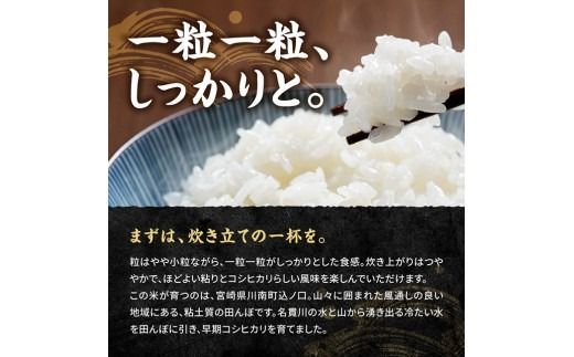 ※選べる内容量・発送回数※　宮崎県産　早期コシヒカリ（精米）3kg/5kg 【 令和8年産 米 お米 白米 精米 国産 宮崎県産 こしひかり おにぎり 】ⅠⅧ [B13301 B13301t3 B13302 B13302t3]