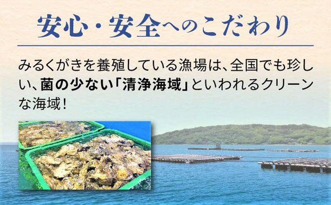 加熱用 みるくがき 10kg 殻付き 活牡蠣 糸島市 / 豊久丸ブランド/カキ/牡蛎[AEJ008]