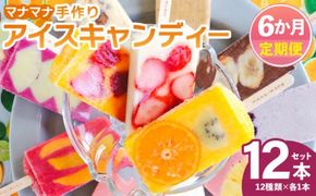アイス 【６回定期便】手作りアイスキャンデー 12本セット Wys-0032
