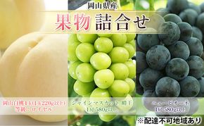フルーツ 2026年 先行予約 果物 詰合せ 岡山 白桃 4玉 等級：ロイヤル（1玉220g以上） シャイン マスカット 晴王 1房 580g以上 ニューピオーネ 1房 580g以上  岡山県産 ギフト