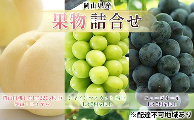 フルーツ 2026年 先行予約 果物 詰合せ 岡山 白桃 4玉 等級：ロイヤル（1玉220g以上） シャイン マスカット 晴王 1房 580g以上 ニューピオーネ 1房 580g以上  岡山県産 ギフト