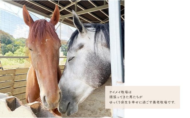 張子の馬 グラマー ホワイト バージョン 馬 うま 置物 インテリア 張子 張り子 干支 手造り オリジナル [№5735-3259]