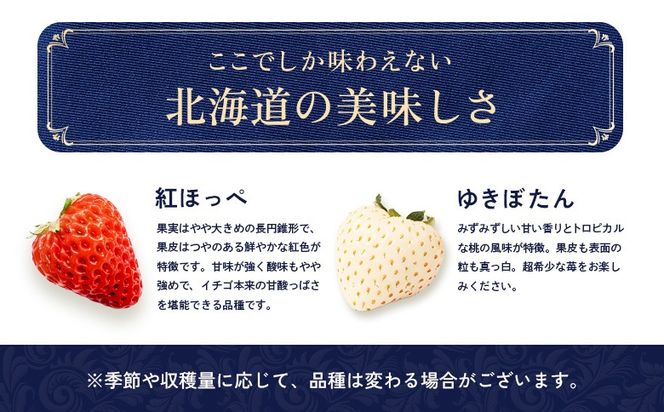 受注後、随時発送！】【北海道産】ゆきいちご（ゆきぼたん/紅