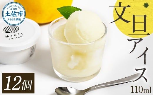 文旦アイス 12個入り 1個110ml ブンタン ぶんたん フルーツ 果物 柑橘 みかん お菓子 おかし おやつ デザート スイーツ ギフト おいしい 爽やか シャーベット【有限会社戸田商行】 [BQCA013]