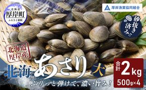あさり【4月～6月発送】北海道 厚岸町産 天然 殻あさり(大) 500g×4　【厚岸漁業協同組合】[ アサリ 貝 味噌汁 酒蒸し 混ぜご飯 ] 