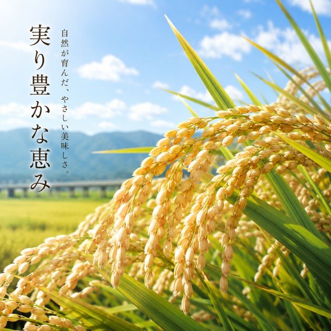 定期便 12回 吉野家 牛すい 20袋 フリーズドライ 常温保存 食品 牛肉 インスタント 常温 非常食 保存食 災害 防災 備蓄 ローリングストック 非常用 備蓄用