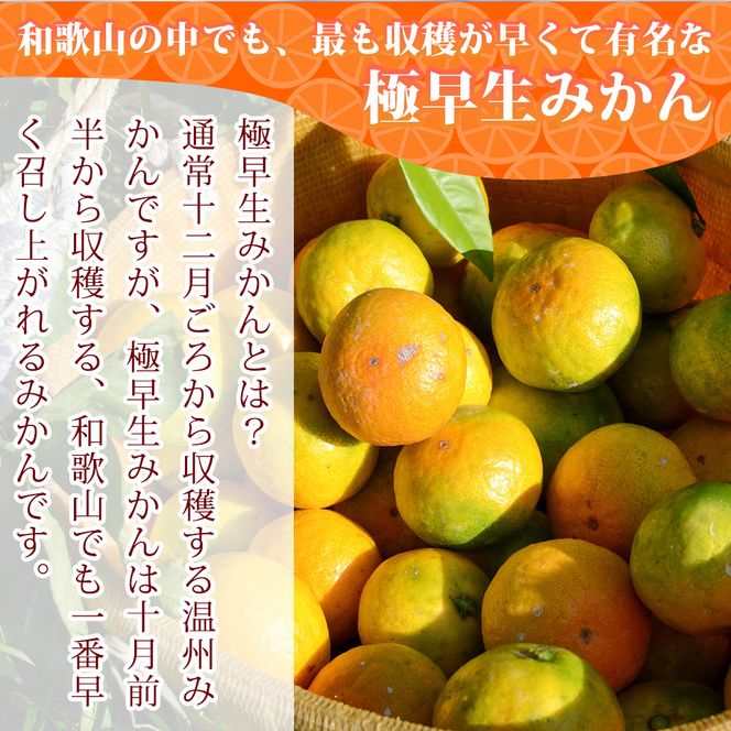 EA6103_【2026年先行予約】和歌山県限定の極早生みかん 2kg (YN-26 大小混合)