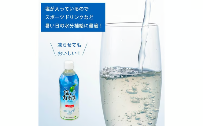 塩とカボス (495ml×24本) かぼす ドリンク ジュース かぼす カボス 塩 食塩 ノンアルコール ペットボトル 大分県産 特産品 家庭用 大分県 佐伯市【HD184】【さいき本舗 城下堂】
