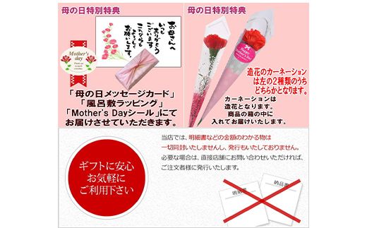 ＜老舗 くり屋南陽軒＞ 【母の日ギフト】栗きんとん 10個入 メッセージカード 造花 カーネーション 付 F4N-2808