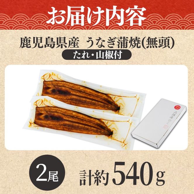 【0164361a】＜数量限定＞＜メガサイズ＞「養鰻業者応援」うなぎ蒲焼き(無頭)(2尾・計約540g・タレ、山椒付) うなぎ 高級 ウナギ 鰻 国産 蒲焼 蒲焼き たれ 鹿児島 ふるさと 人気【アクアおおすみ】