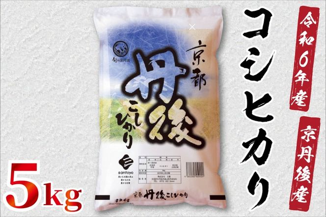 令和6年産　京都丹後産　コシヒカリ5kg（5kg×1袋）　ST00052