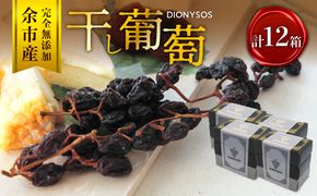 【ギフトボックス】余市産完全無添加干し葡萄DIONYSOS 12箱セット_Y050-0030