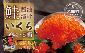 【数量限定】鮮度にこだわった＜笹谷商店 いくら　5パック（500ｇ×5）2.5ｋｇ＞絶品の醤油タレで漬けたいくら（検索：いくら イクラ 鮭いくら 鮭イクラ 醤油いくら 醤油イクラ いくら丼 いくら醤油漬け イクラ醤油漬け 秋鮭 国産 北海道産 北海道乙部町 日本海 冷凍 人気 訳あり 定額減税 使い道 ふるさと納税）