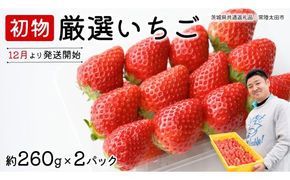 【 先行予約 】 初物 厳選いちご ( 2パック ×1箱 )【12月発送】 （常陸太田市 共通返礼品 ) いちご 数量限定 果物 くだもの フルーツ 苺 イチゴ ストロベリー 旬 厳選 いばらキッス ひたち姫 やよいひめ