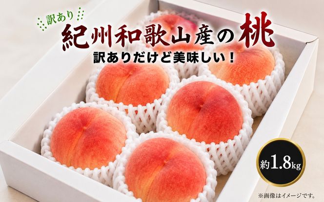 【ご家庭用訳あり】紀州和歌山産の桃　約1.8kg（5玉〜8玉）※2027年7月中旬頃〜8月中旬頃順次発送（お届け日指定不可）【uot873】
