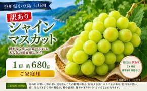 訳あり シャインマスカット  1房 約680g マスカット フルーツ 果物 香川県 土庄町