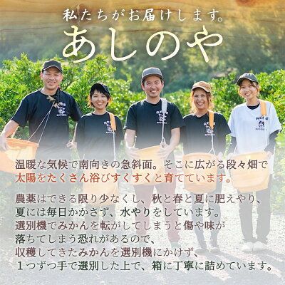 【2027年先行予約】有田の不知火(しらぬひ)　6玉?（L～2Lサイズ）まごころ手選別_ZE6110n