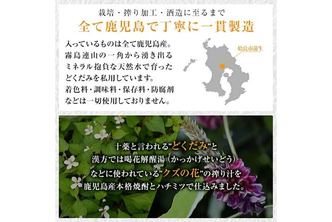 ＜選べる容量＞碧羅の酒(300ml・500ml・900ml)【フォンタナの丘かもう】姶良市 国産 どくだみ草 くずの花 お酒 酒 本格焼酎 どくだみ くず 花 はちみつ へきらのさけ 健康酒 a177 a179 a551 a552