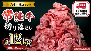 【定期便】 全12回 【 常陸牛 】 切り落とし 1kg (茨城県共通返礼品) 国産 切落し 焼肉 焼き肉 お肉 A4ランク A5ランク ブランド牛 [BX89-NT]