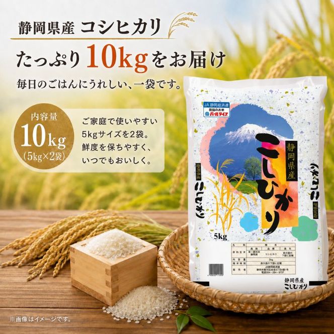 米 静岡コシヒカリ 5kg×2 コシヒカリ お米 白米 コメ 静岡県産