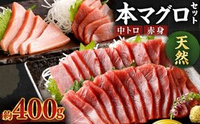 厳選天然本マグロ中トロ・赤身食べきりセット【４００ｇ】　ge010