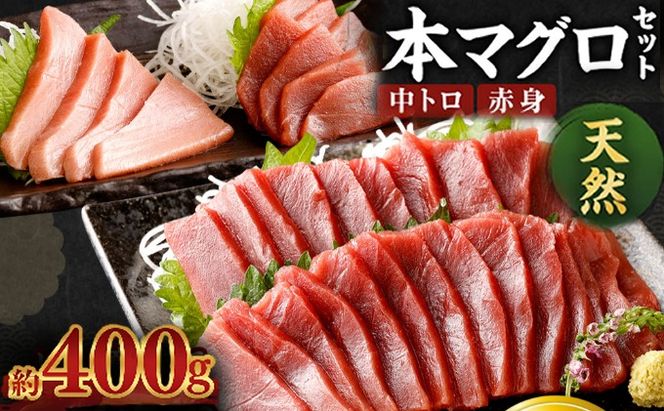 厳選天然本マグロ中トロ・赤身食べきりセット【400g】 ge010