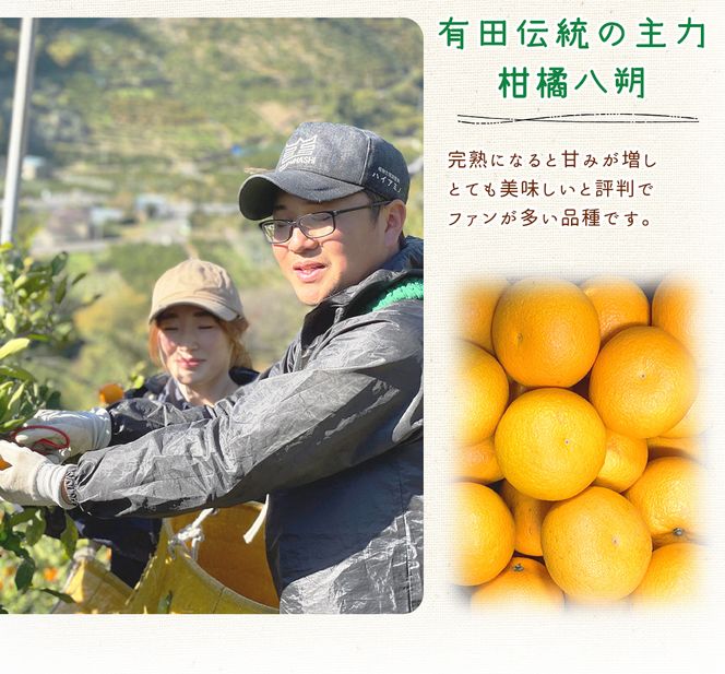 DI6032n_和歌山県有田産 八朔 3kg 秀品 (M～2Lサイズおまかせ)