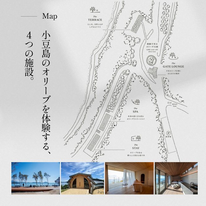 【 小豆島 】千年オリーブテラス for your wellness 日帰り体験 （入園つき） ペアチケット マインドフルネス体験 体験 体験チケット 旅行 旅 オリーブテラス 日帰り チケット ペア 香川 香川県 土庄 土庄町