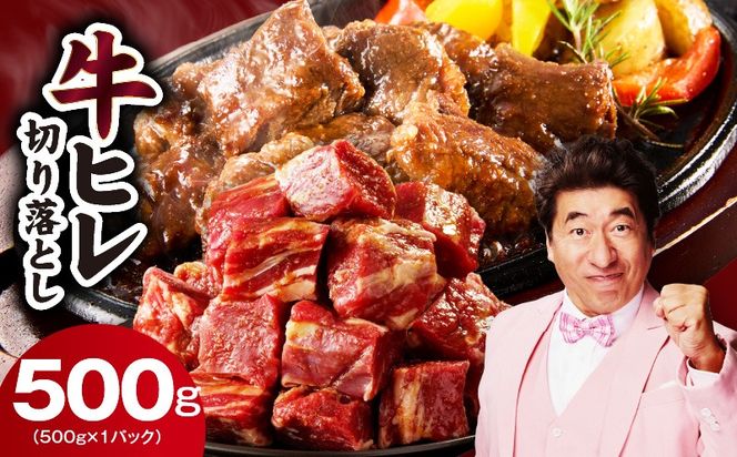 mrz0309 【お試し】牛ヒレ肉 切り落とし 500g【スピード発送 小分け 500g×1P 氷温熟成×特製ダレ サイズ不揃い やわらか ステーキ ひと口サイズ カット済み】