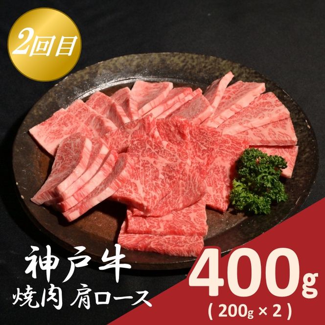 神戸牛定期便 C 【全3回】《 肉 牛肉 神戸牛 肩ロース スライス肉 すき焼き 焼肉 ステーキ 計1.2kg 定期便 冷凍 》【2507A16919】
