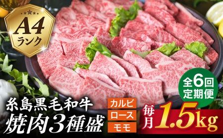 【全6回定期便】( まるごと 糸島 ) A4 糸島 黒毛和牛 焼肉 、 バーベキュー セット 3品 盛り 1500g 入り 糸島市 / 糸島ミートデリ工房 [ACA285] 牛肉 赤身 黒毛和牛 焼肉 和牛 国産 肉 牛 ロース カルビ モモ 黒毛和牛