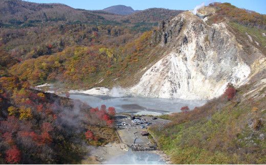 北海道登別市 地域限定旅行クーポン 300,000円分 | 日本旅行 トラベルクーポン 納税チケット 旅行 宿泊券 ホテル 観光 旅行 旅行券 交通費 体験 宿泊 夏休み 冬休み 家族旅行 ひとり旅 カップル 夫婦 親子 登別市旅行