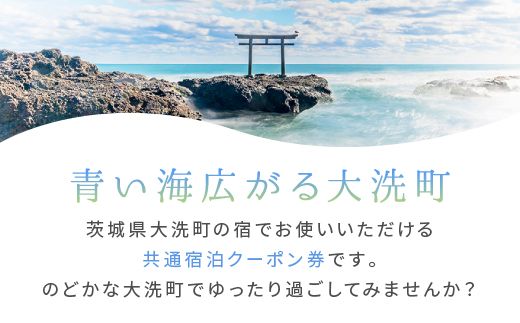 大洗町 共通 宿泊 クーポン 30,000円分（3,000円×10枚） 関東 茨城